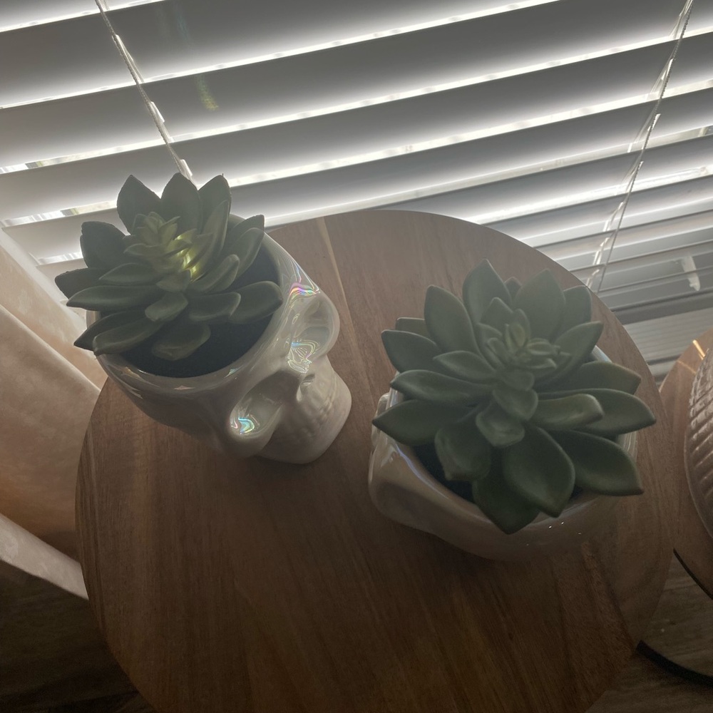 Iridescent Skull Planters with Faux Succulents Halloween Decor - Picture 6 of 8